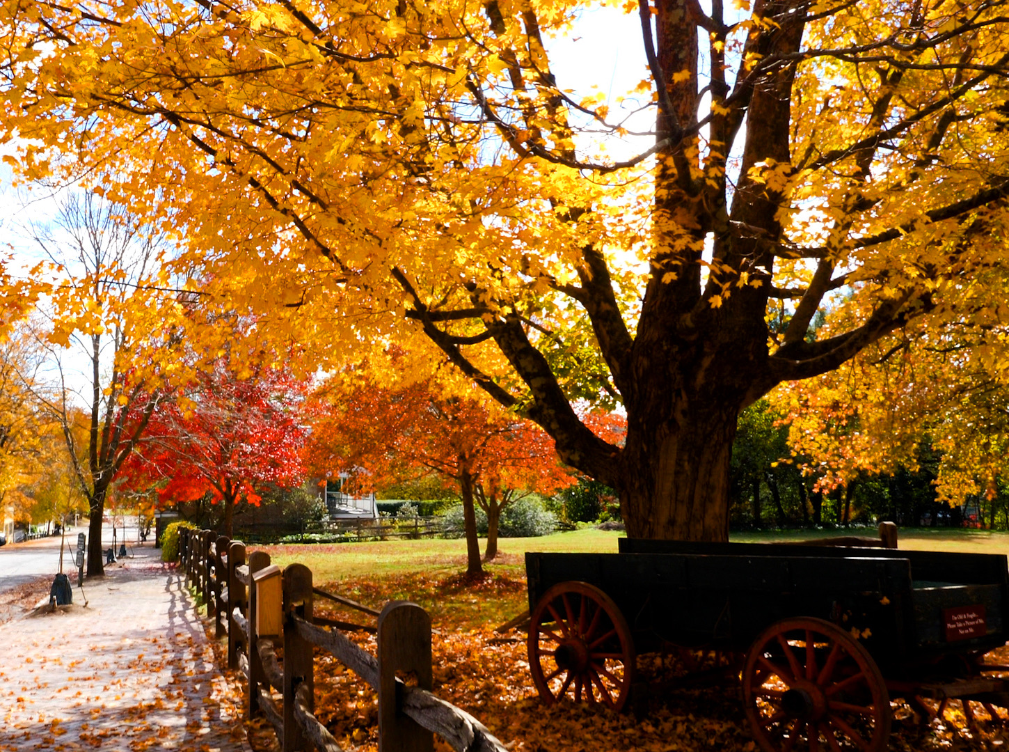 Escape to Old Salem Park: A Georgia Gem for Nature Lovers